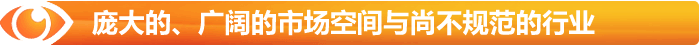 廣闊市場(chǎng)空間與尚不規(guī)范的行業(yè)