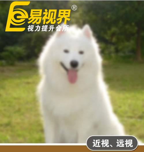 不一樣的眼病，不一樣的世界