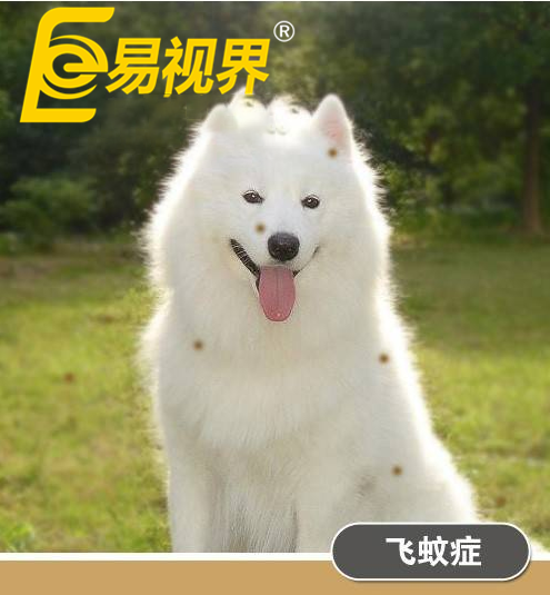 不一樣的眼病，不一樣的世界